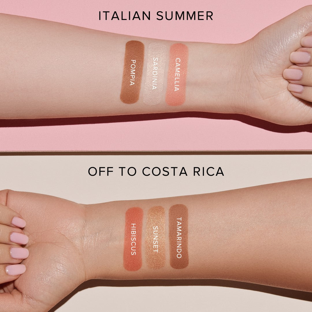 Anastasia Beverly Hills Face Palette Makeup Bronzer Highlighter Blush