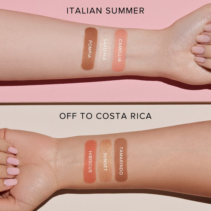 Anastasia Beverly Hills Face Palette Makeup Bronzer Highlighter Blush