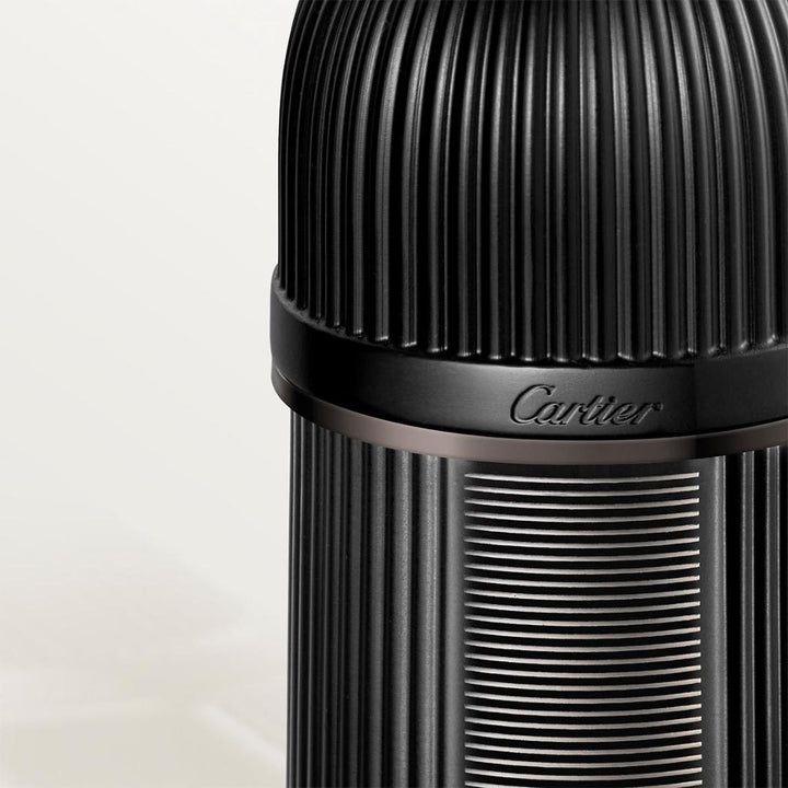 Cartier Pasha de Cartier Noir Absolu Limited Edition 100ml