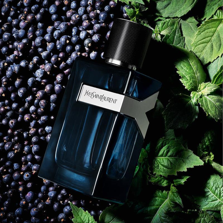 Yves Saint Laurent Y Intense Eau de Parfum for Men
