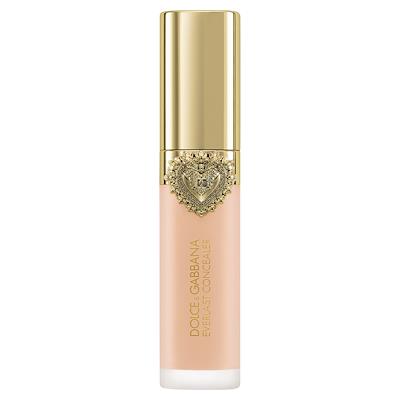 Dolce & Gabbana Everlast Concealer