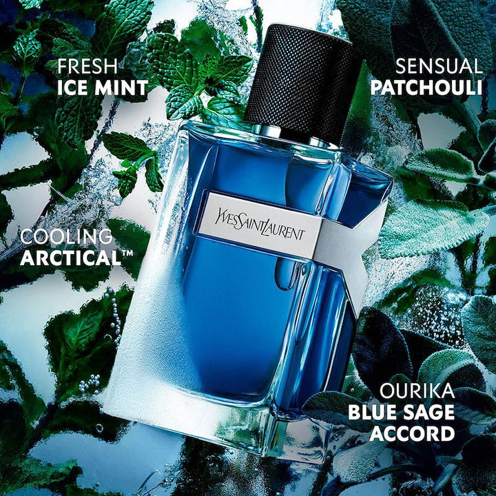 Yves Saint Laurent Y Iced Cologne Intense Eau de Toilette