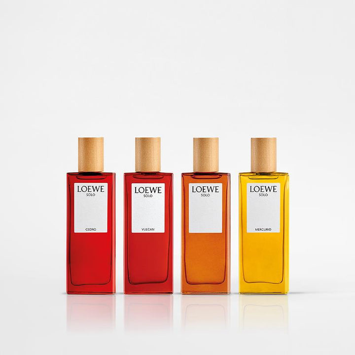 Loewe Solo Eau de Toilette Men's Fragrance 100ml