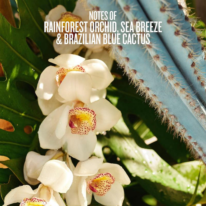 Sol De Janeiro Refresco Paraiso Perfume Mist 90ml