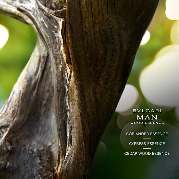 Bvlgari Man Wood Essence Eau de Parfum for Men